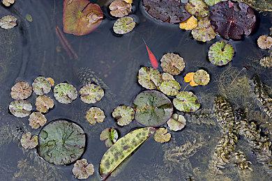 《怪物猎人：荒野》实体版需下载首日补丁 15GB